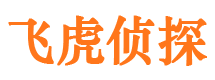 鱼台外遇调查取证